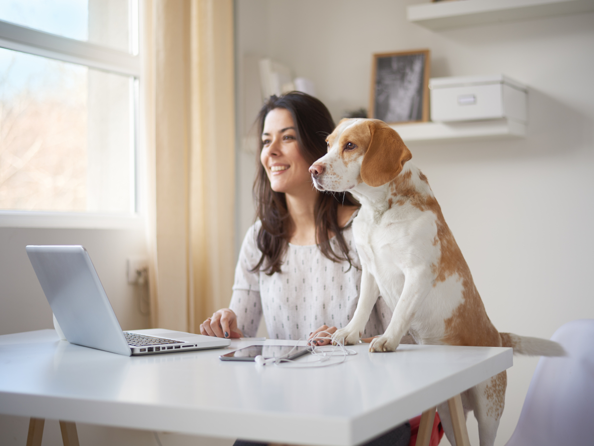 Home office – jak powinno wyglądać domowe biuro?